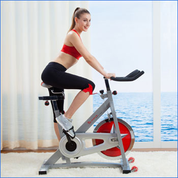 Sunny Health & Fitness Pro Indoor Cycling Bike