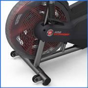 Schwinn Airdyne AD2 Upright Exercise Bike