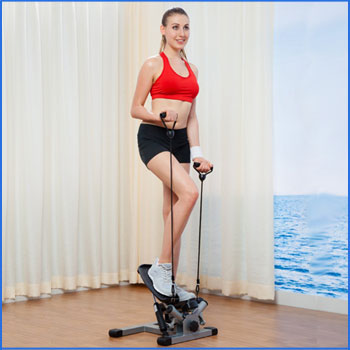 Sunny Health & Fitness Twister Stepper
